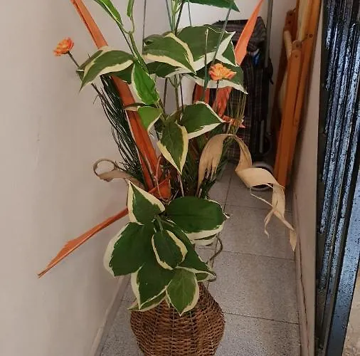 La Casa Di Mimi' * Cefalu