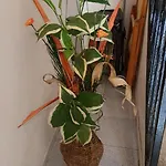 La Casa Di Mimi' * Cefalu