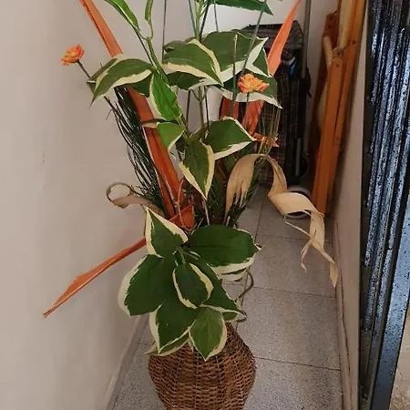 La Casa Di Mimi' * 체팔루